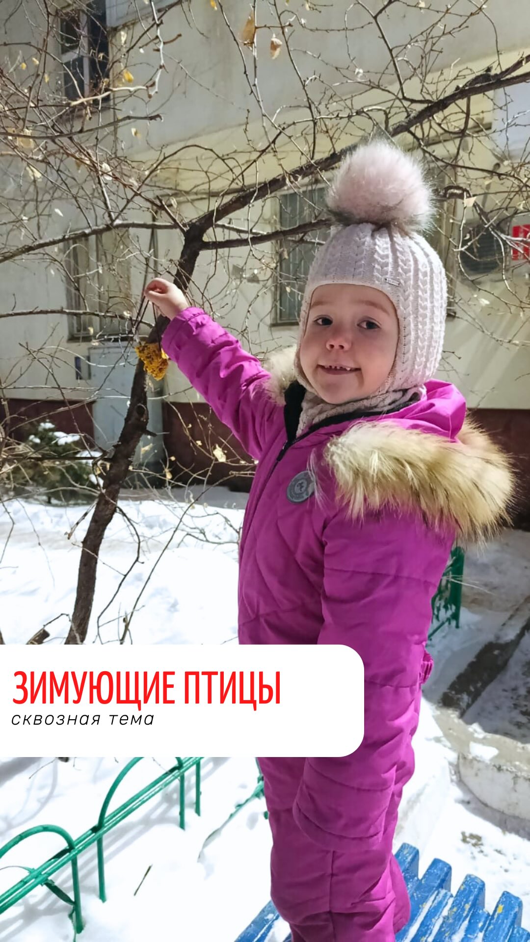 Қыстап қалатын құстар апталығы