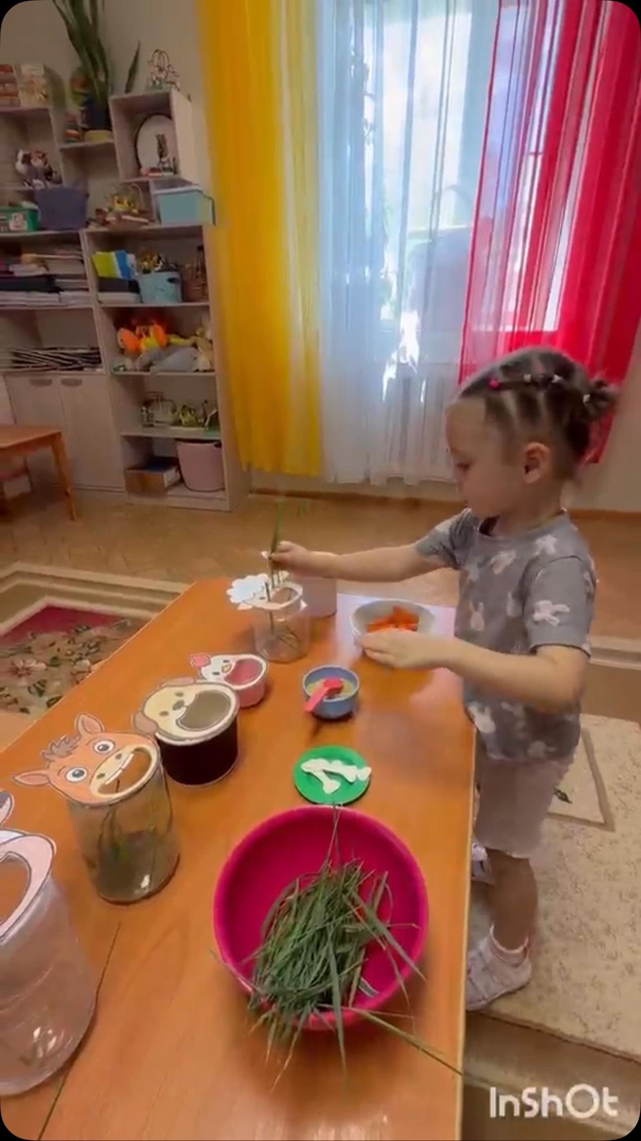 Үй жануарларын қоректендіреміз
